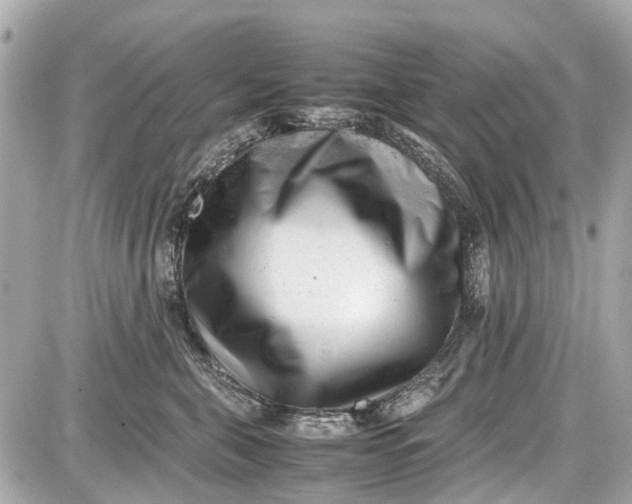 X0000087600571200705112331