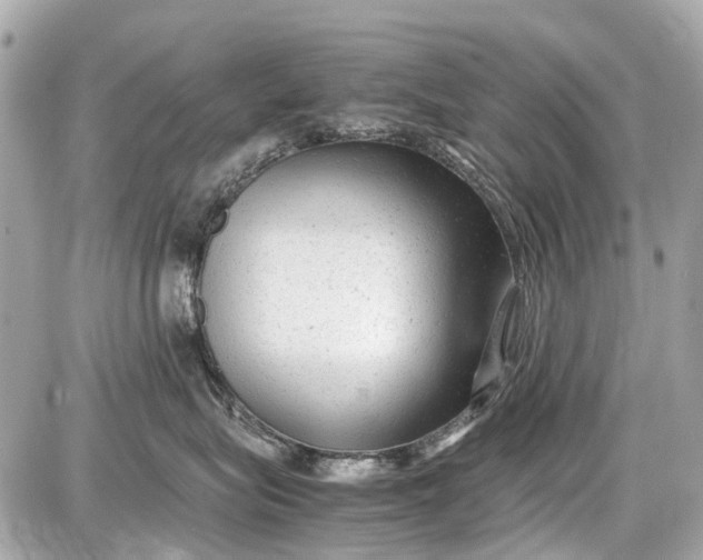 X0000087600575200705112331