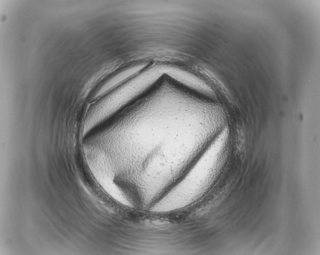 X0000087600586200705112330