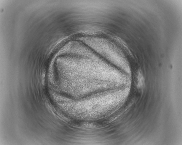 X0000087600596200705112330