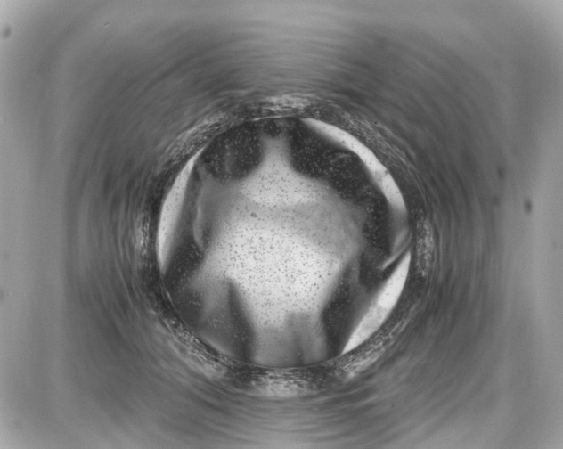X0000087600608200705112330