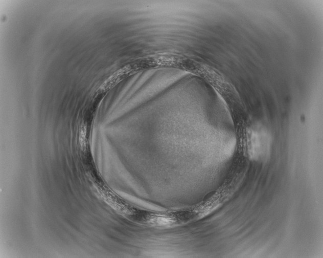 X0000087600610200705112330