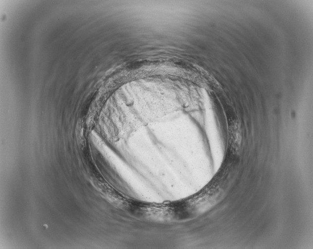 X0000087600615200705112330
