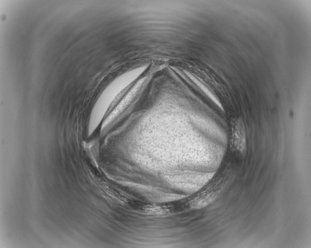 X0000087600616200705112330