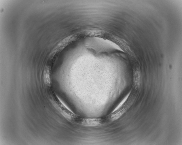 X0000087600622200705112330