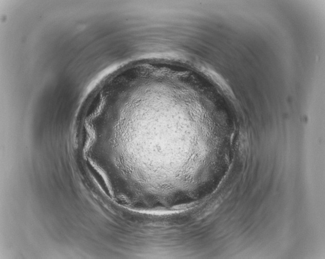 X0000087600628200705112329