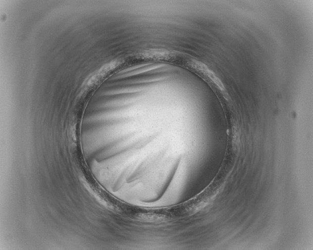 X0000087600633200705112329