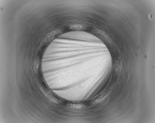 X0000087600645200705112329