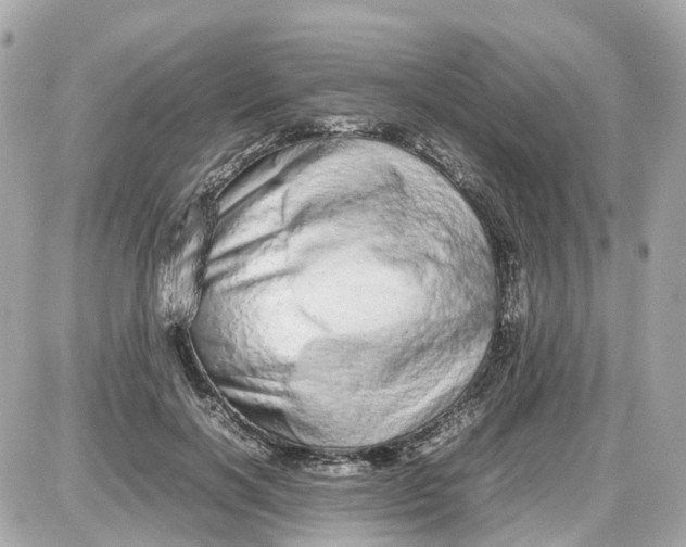 X0000087600646200705112329