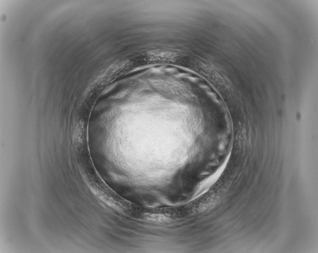 X0000087600649200705112329