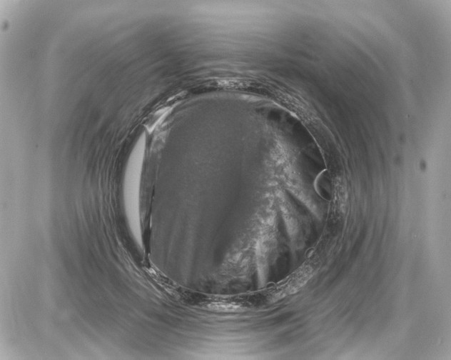 X0000087600650200705112329