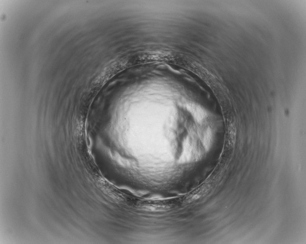 X0000087600657200705112329
