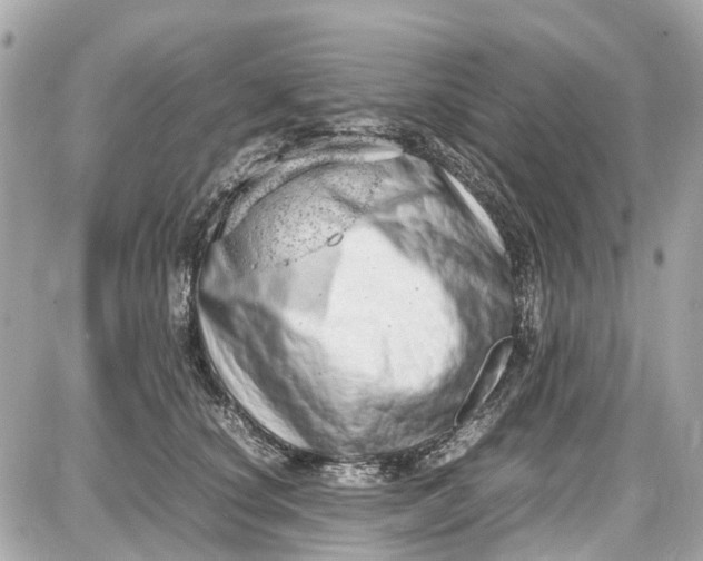 X0000087600660200705112329