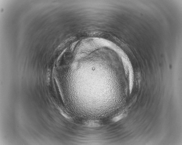 X0000087600664200705112329