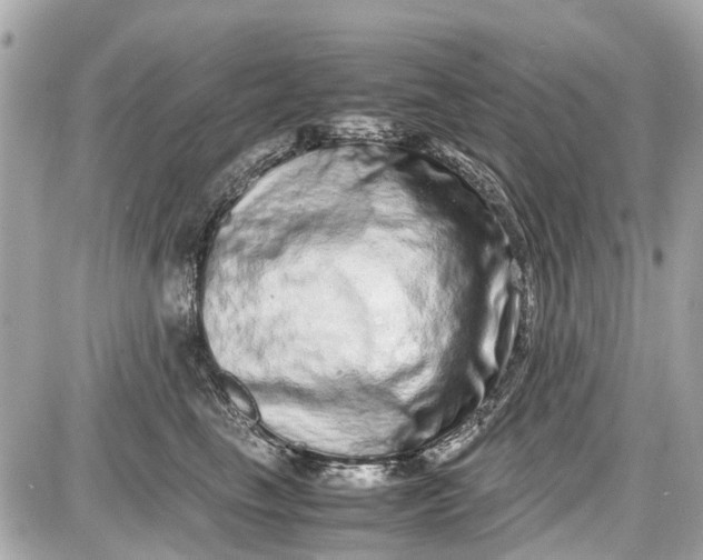 X0000087600665200705112330
