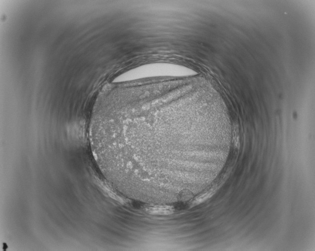 X0000087600670200705112330