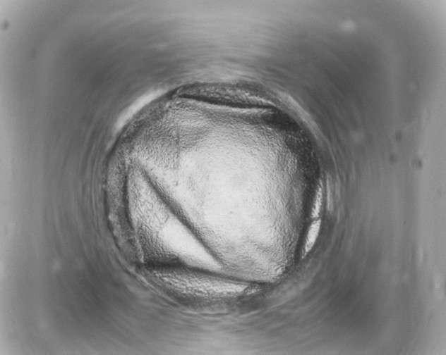 X0000087600675200705112329