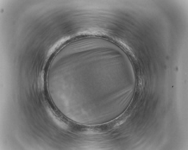 X0000087600678200705112329