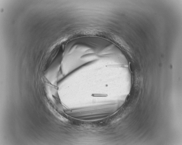 X0000087600681200705112329