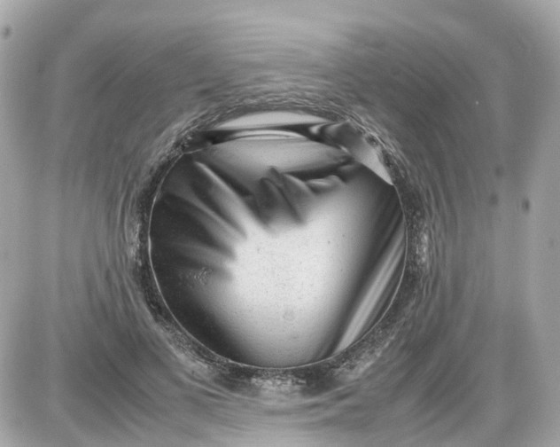 X0000087600693200705112329