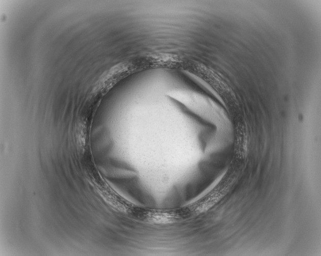 X0000087600710200705112328
