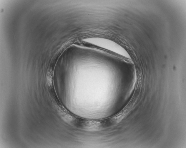 X0000087600719200705112328