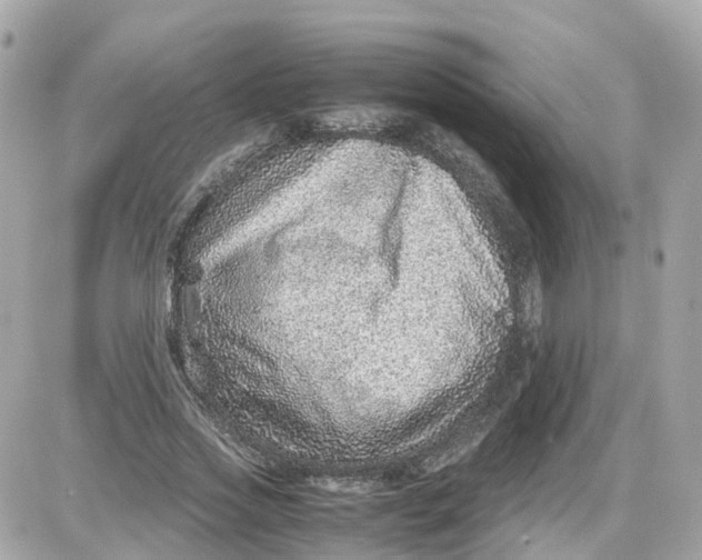 X0000087600733200705112327