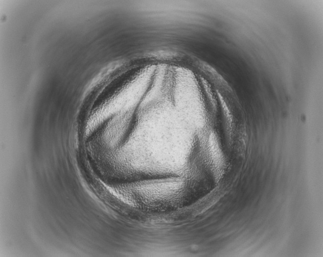 X0000087600734200705112327