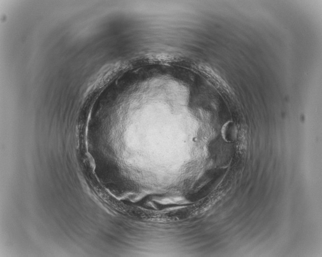 X0000087600738200705112328