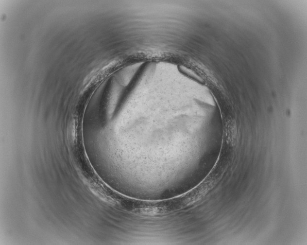X0000087600740200705112328