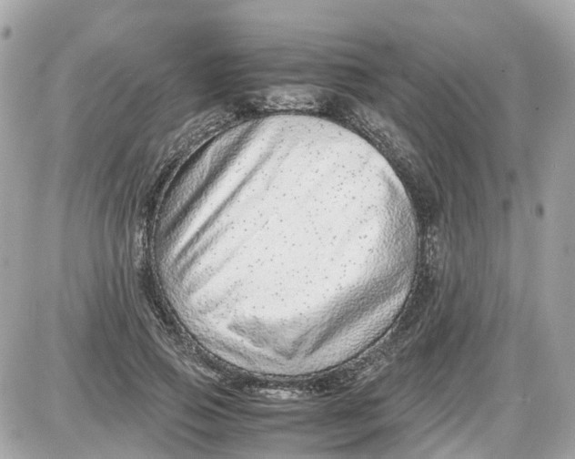 X0000087600741200705112328