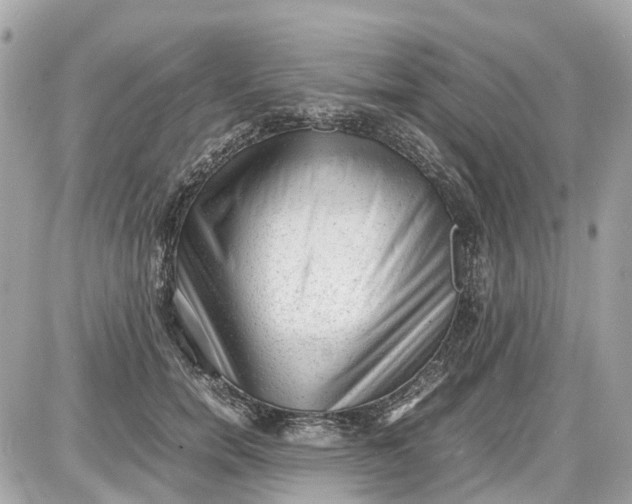 X0000087600750200705112328