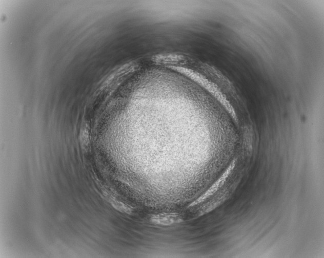 X0000087600761200705112328