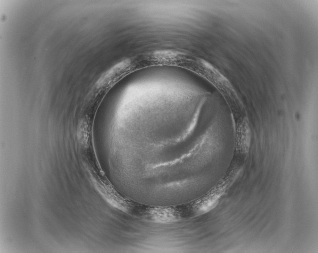 X0000087600762200705112328