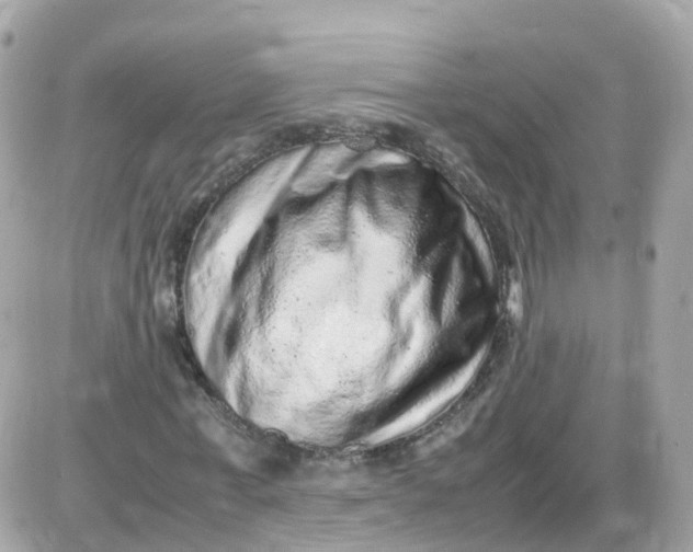 X0000087600771200705112327