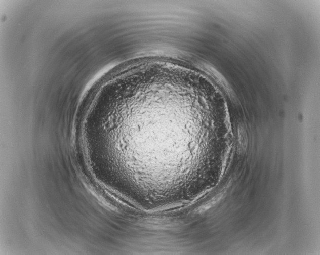 X0000087600780200705112327
