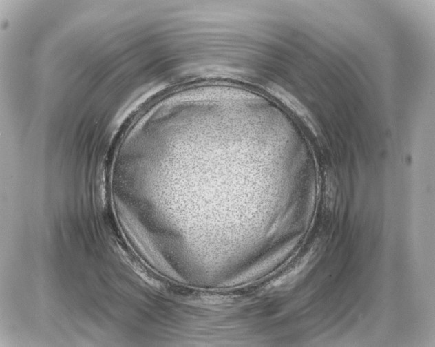 X0000087600782200705112327