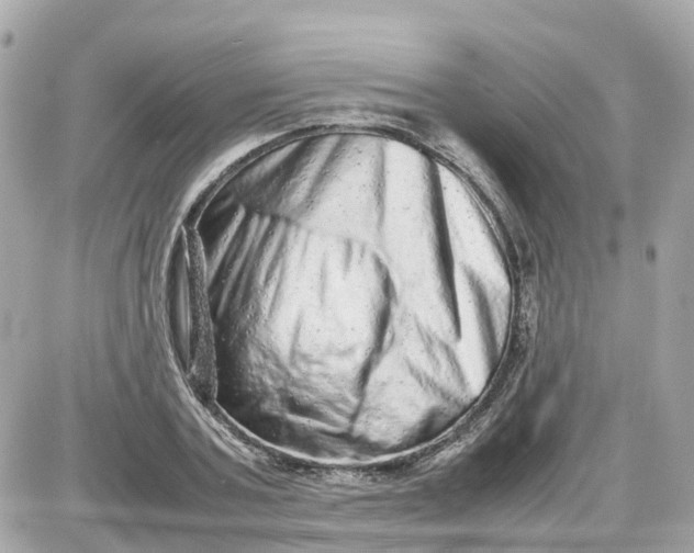 X0000087600787200705112327