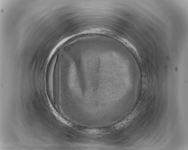 X0000087600792200705112327