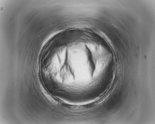 X0000087600795200705112327