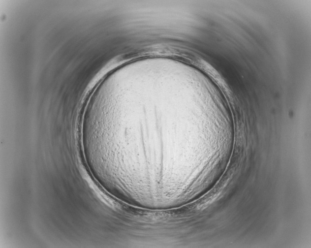 X0000087600803200705112327