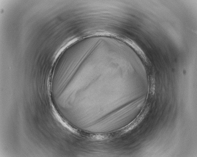 X0000087600806200705112327
