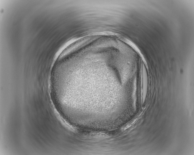 X0000087600811200705112327