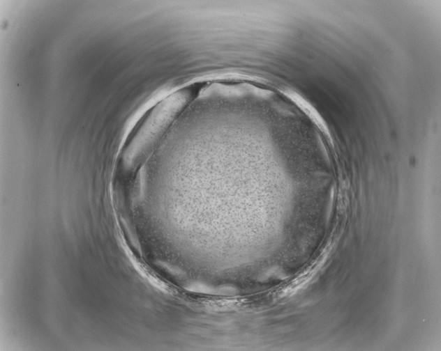 X0000087600813200705112327