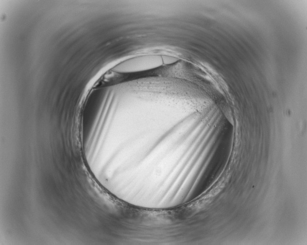 X0000087600816200705112327