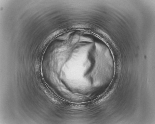 X0000087600833200705112326