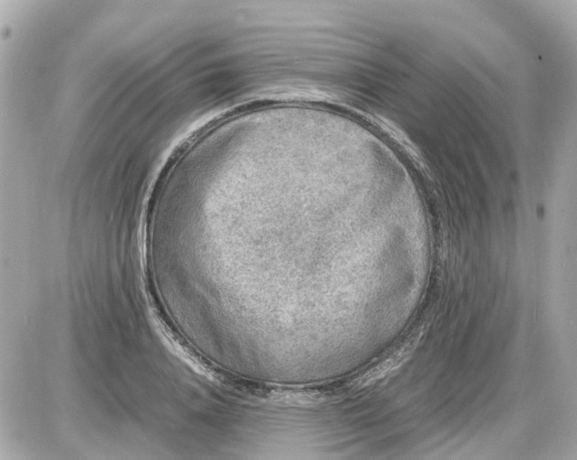 X0000087600840200705112326