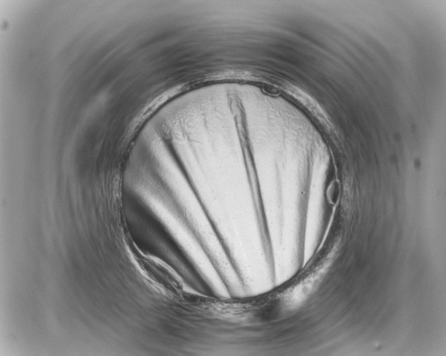 X0000087600849200705112326
