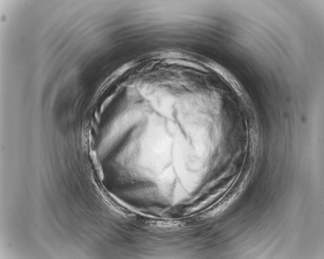 X0000087600857200705112326