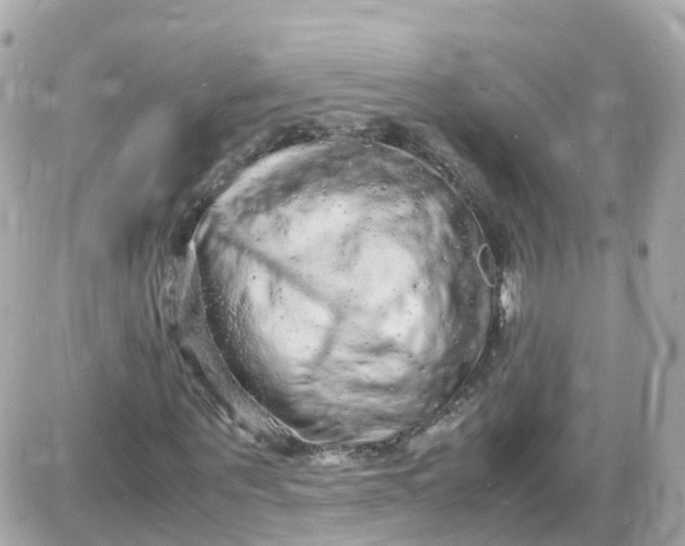 X0000087600867200705112326